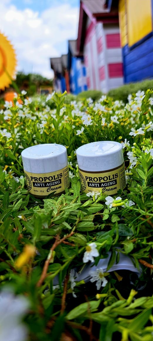 Paket Hemat! Diskon 25% Anti Aging Propolis Cream