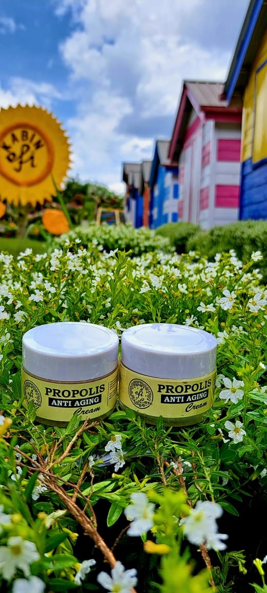 Diskon 20% Anti-Aging Propolis Cream 10 gram x 2